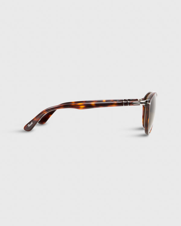 Sid Mashburn PO3170S Sunglasses In Havana/Brown