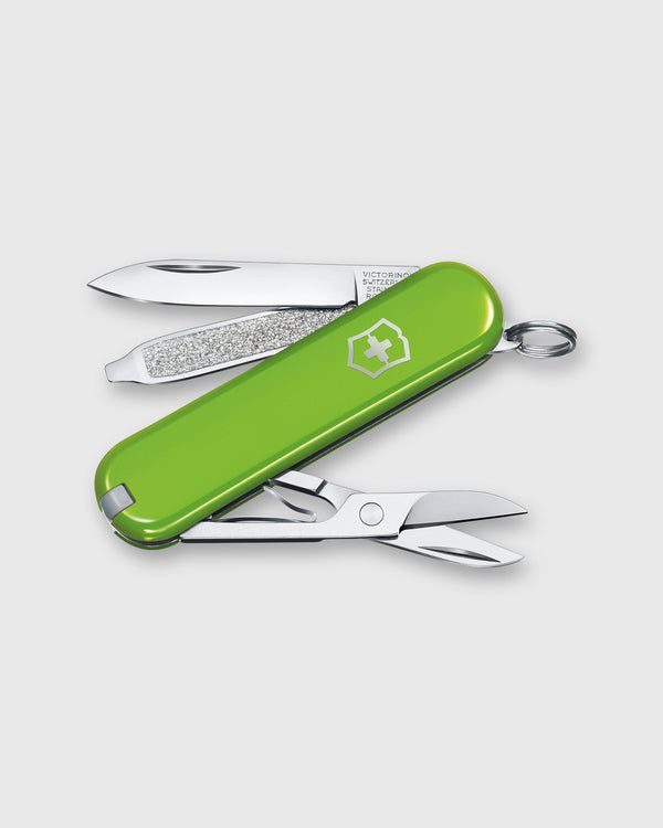 Sid Mashburn Swiss Army Knife In Smashed Avocado