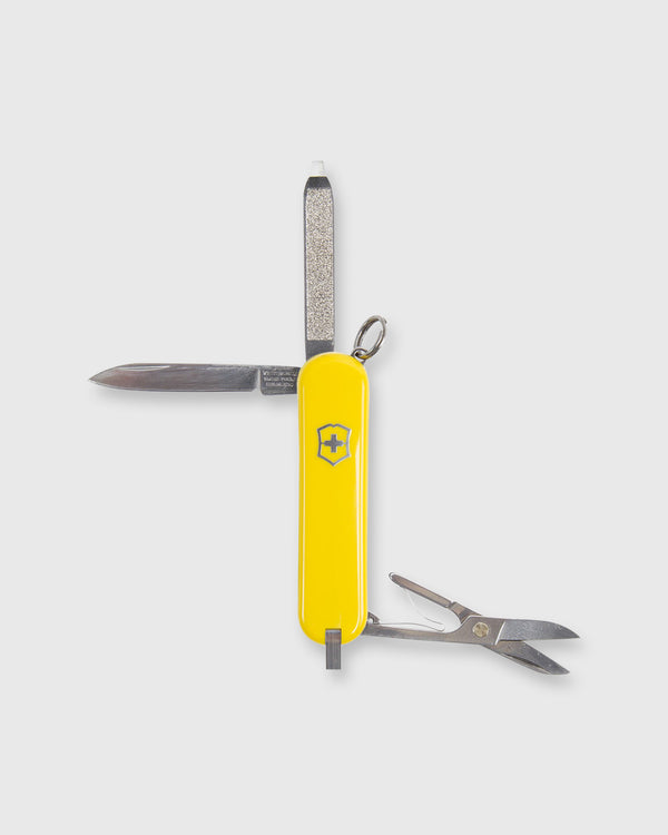 Sid Mashburn Swiss Army Knife In Sunny Side