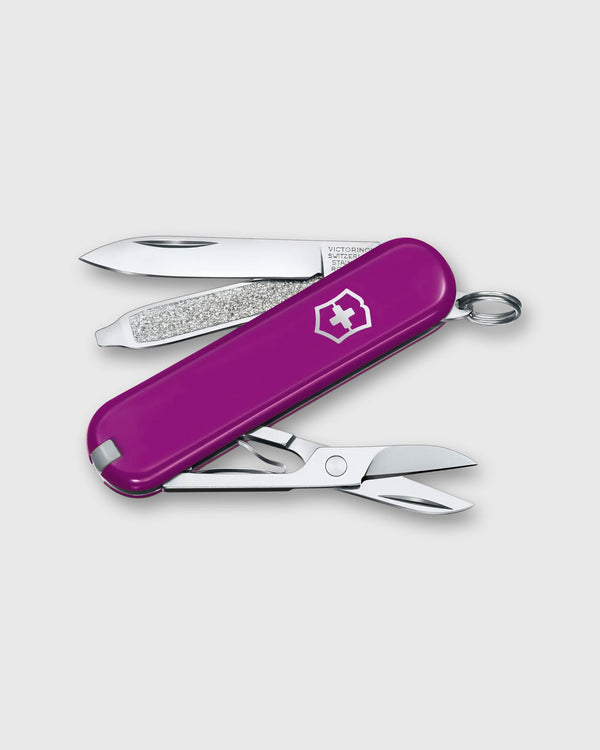Sid Mashburn Swiss Army Knife In Tasty Grape