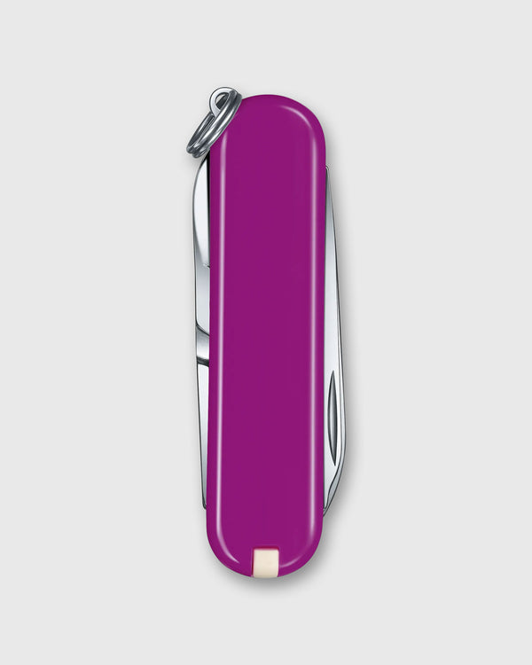 Sid Mashburn Swiss Army Knife In Tasty Grape