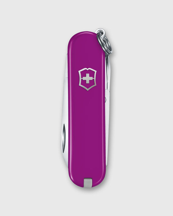 sid mashburn Swiss Army Knife in Tasty Grape