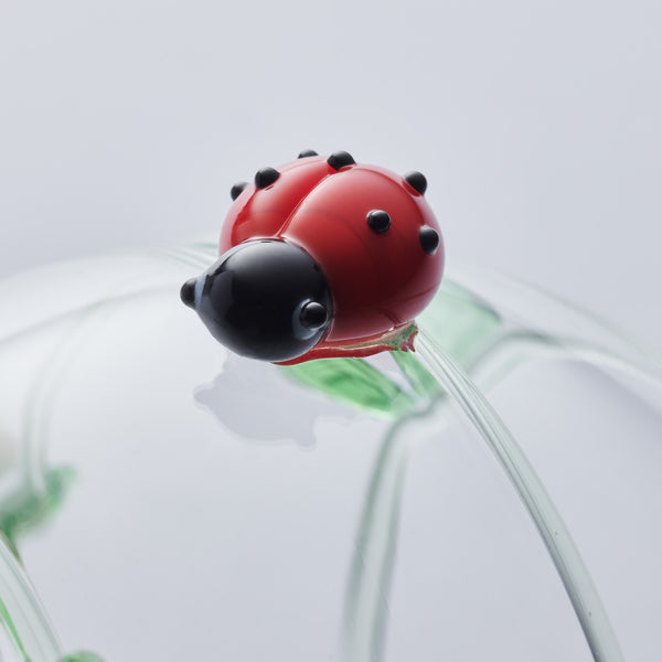 Sienna Glass 10cm Glass Globe - Wildlife Collection - Ladybird