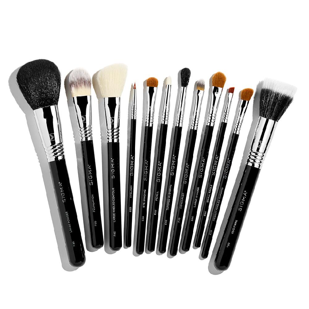 sigma beauty Essential Brush Set