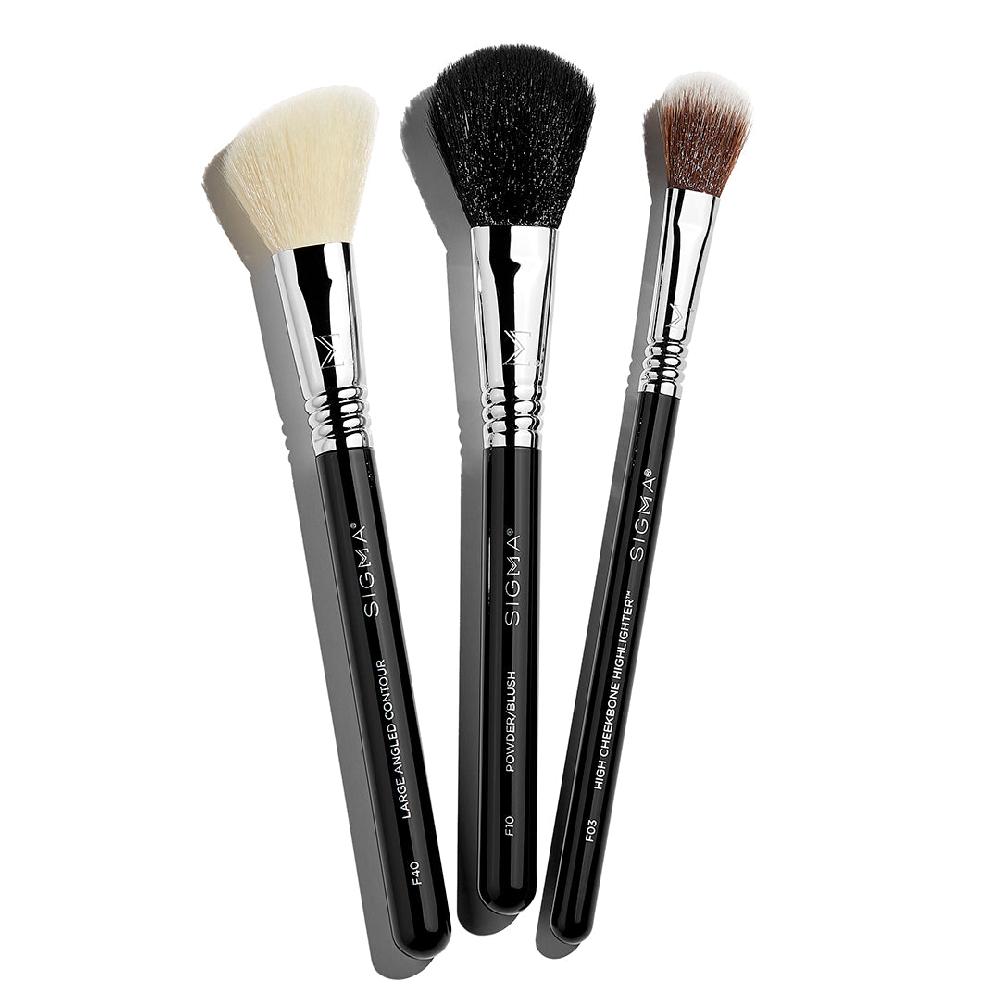 sigma beauty Sculpted Cheek Brush Set