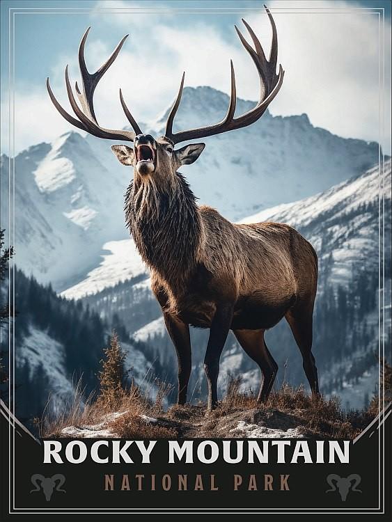 signs 4 fun Rocky Mountain National Park Elk Small Sign