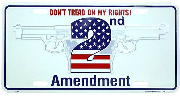 signs 4 fun 2nd Amendment License Plate