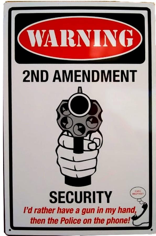 signs 4 fun 2nd Amendment Security Metal Sign