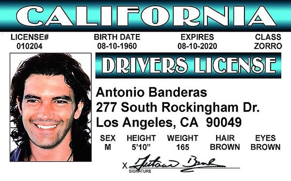 signs 4 fun A. Banderas ID