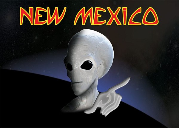 signs 4 fun Alien New Mexico Magnet