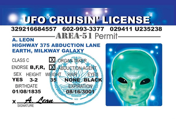 signs 4 fun Alien UFO Magnet