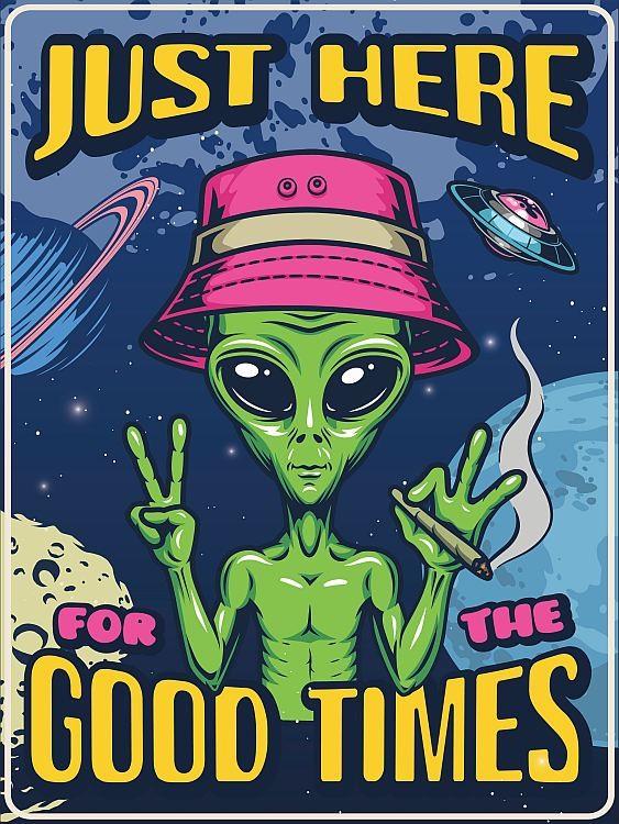 signs 4 fun Aliens Good Times Metal Sign