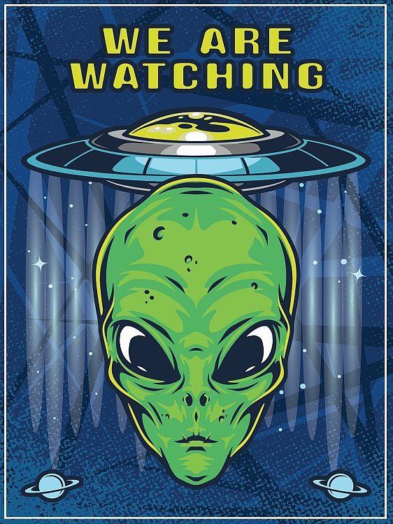 signs 4 fun Aliens We are Watching Magnet