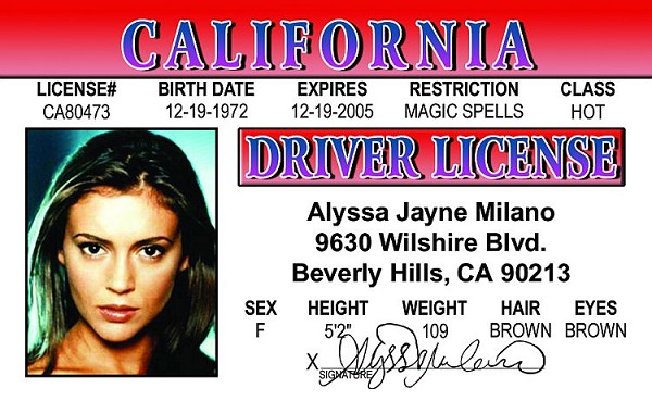 signs 4 fun Alyssa M. ID