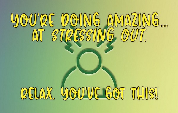 signs 4 fun Amazing at Stressing Out Go Pocket Hug