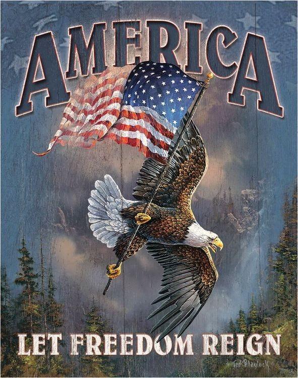 signs 4 fun America - Let Freedom Reign Metal Sign