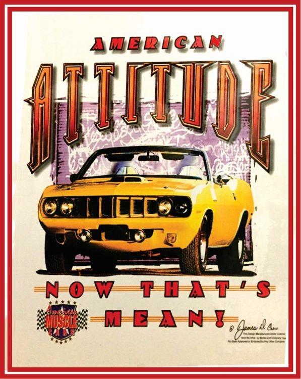 signs 4 fun American Attitude Metal Sign