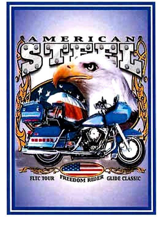 signs 4 fun American Steel 74FLH Tin Sign