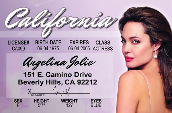signs 4 fun Angelina Jolie ID