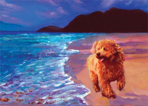 signs 4 fun Apricot Poodle Magnet