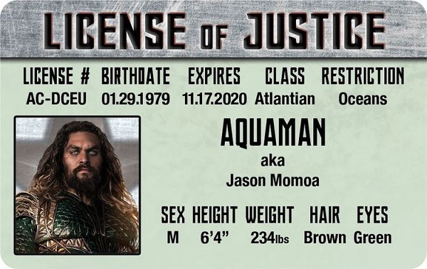 signs 4 fun Aquaman - Jason Momoa ID