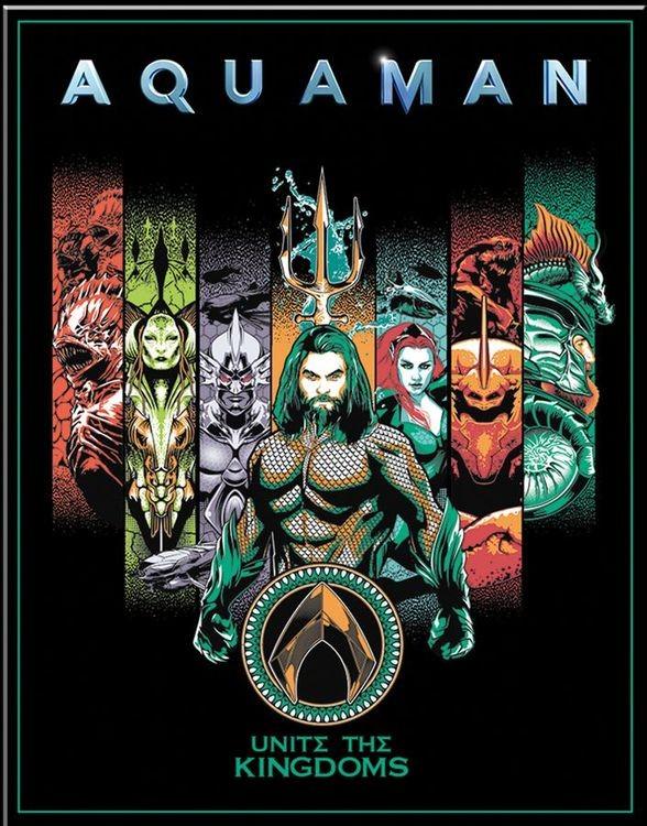 signs 4 fun Aquaman Kingdoms Metal Sign