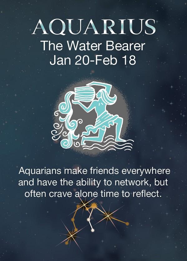 signs 4 fun Aquarius Zodiac Magnet