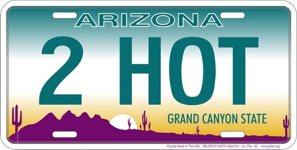signs 4 fun Arizona - 2 Hot License Plate