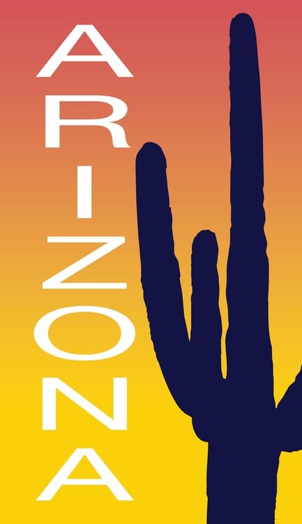 signs 4 fun Arizona Cactus Sticker