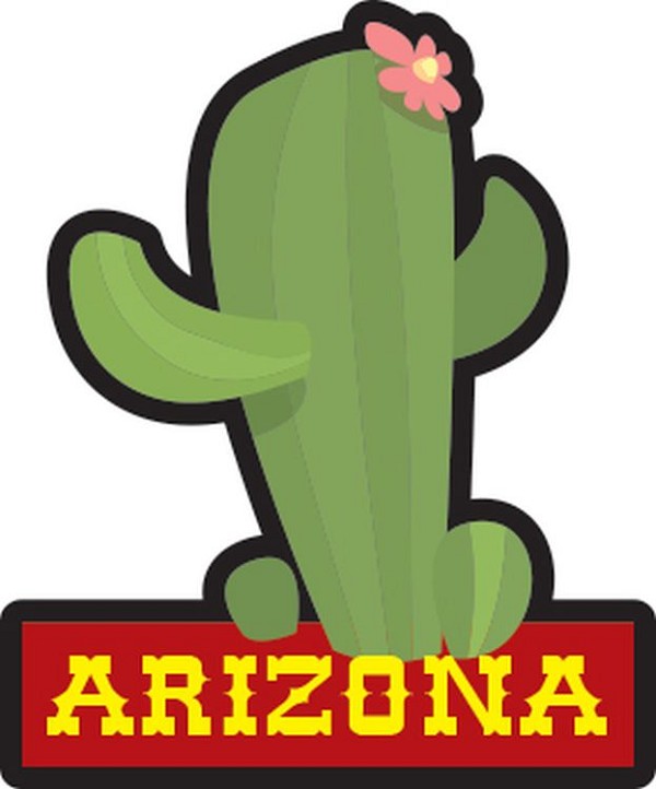 signs 4 fun Arizona Cactus w/ Bloom Lg Sticker