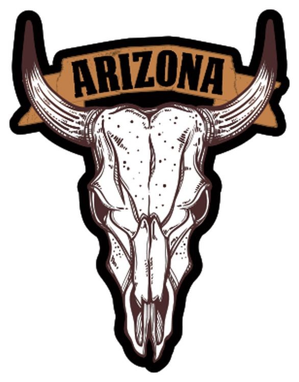 signs 4 fun Arizona Cattle Skull Lg Sticker