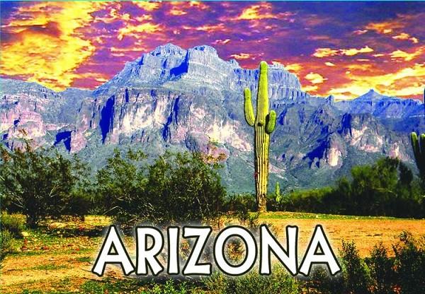 signs 4 fun Arizona Magnet