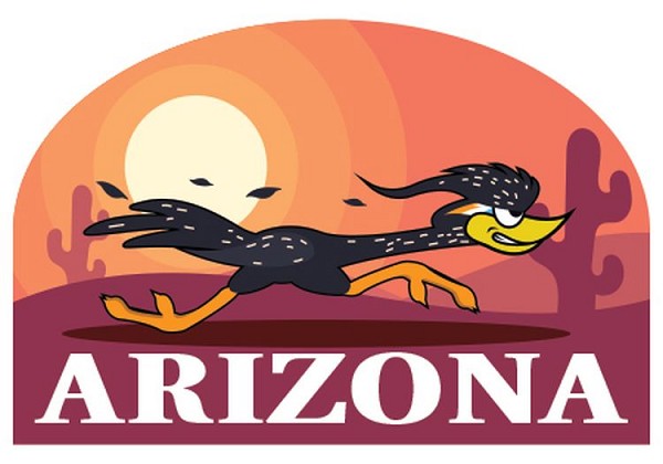signs 4 fun Arizona Roadrnner Cartoon Lg Sticker