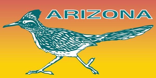 signs 4 fun Arizona Roadrunner Lg Sticker