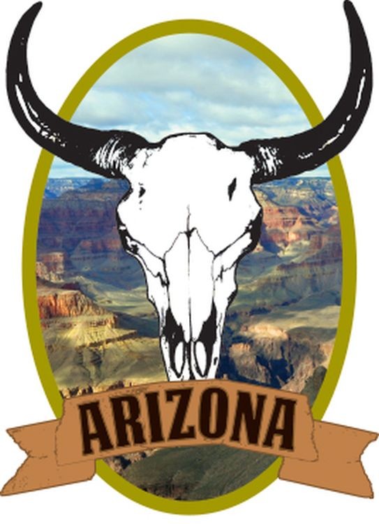 signs 4 fun Arizona Scenic w/ Skull Lg Sticker