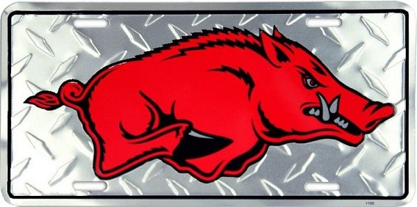 signs 4 fun Arkansas Razorbacks Only License Plate