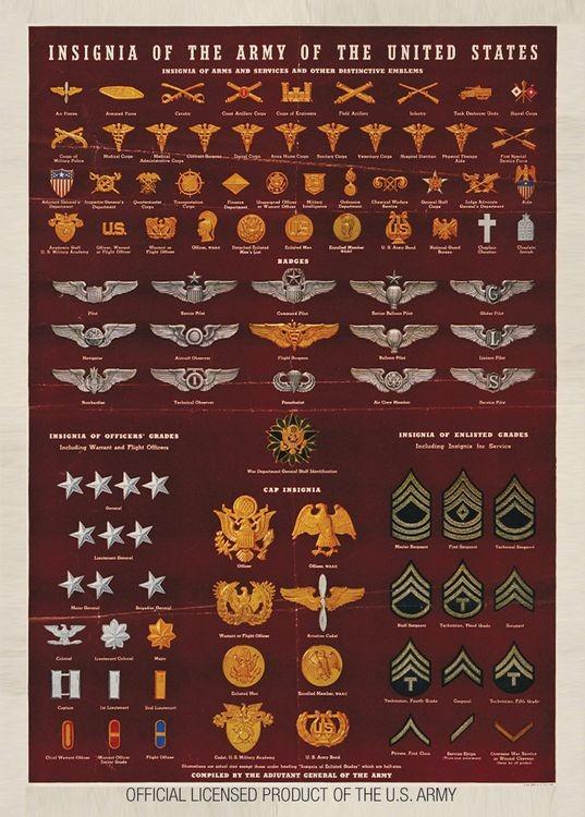 signs 4 fun Army Insignia Magnet