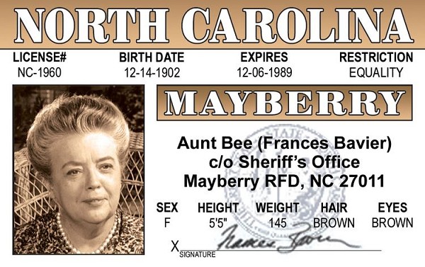 signs 4 fun Aunt Bee ID Magnet