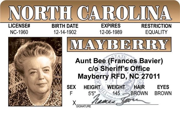 signs 4 fun Aunt Bee ID