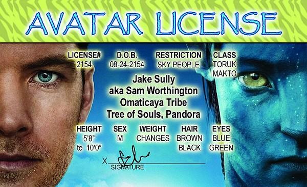 signs 4 fun Avatar ID