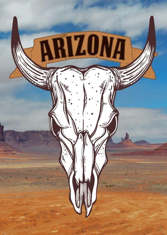 signs 4 fun AZ Cattle Skull Small Sticker