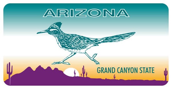 signs 4 fun AZ Roadrunner Sm Sticker