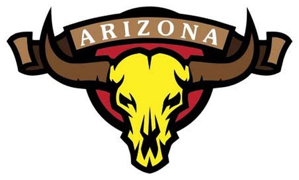 signs 4 fun AZ Skull Yellow Sm Sticker