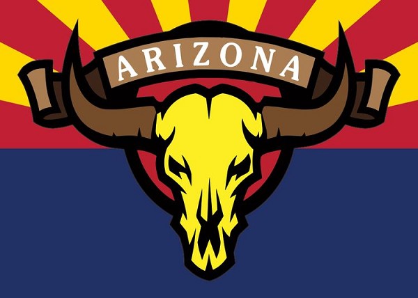 signs 4 fun AZ Skull Yellow Small Sticker