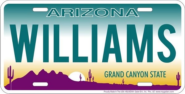 signs 4 fun AZ- Williams License Plate