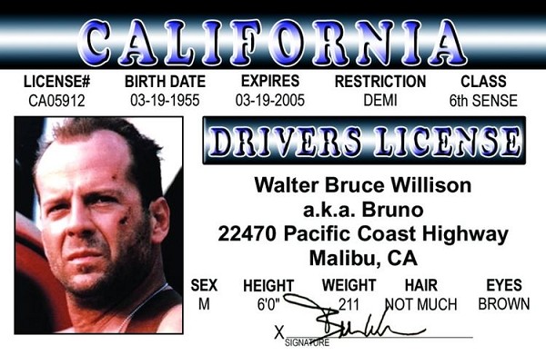 signs 4 fun B. Willis ID