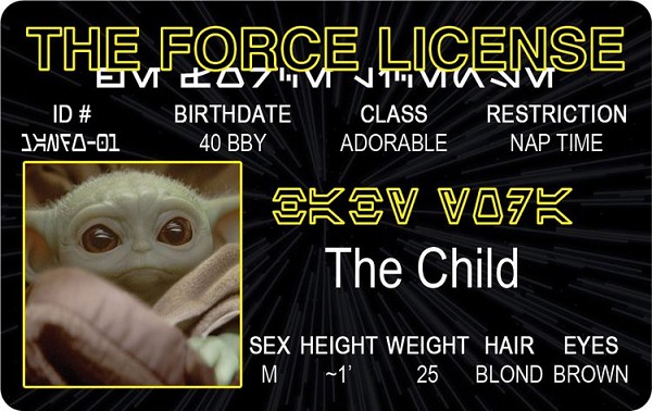 signs 4 fun Baby Yoda ID