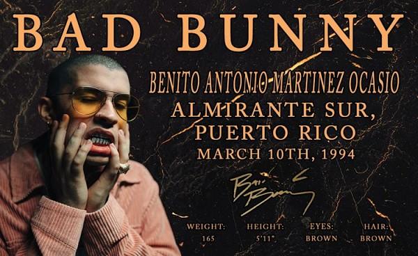 signs 4 fun Bad Bunny ID