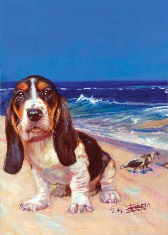 signs 4 fun Basset Hound Puppy Magnet