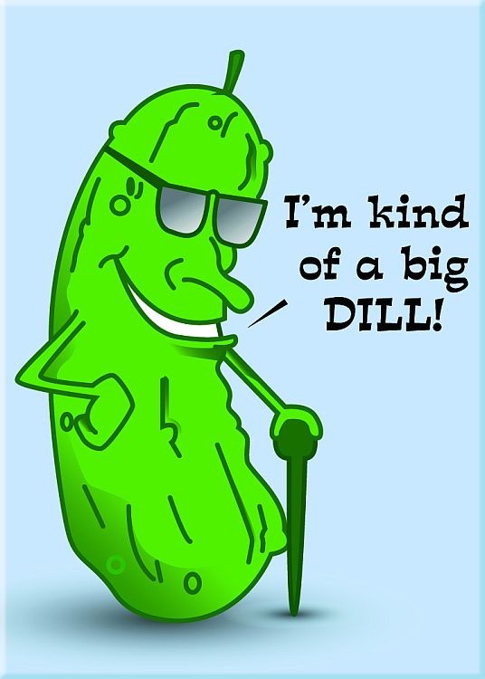 signs 4 fun Big Dill Magnet